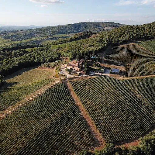 Aerial view of vineyard with farm buildings surrounded by rolling green hills.