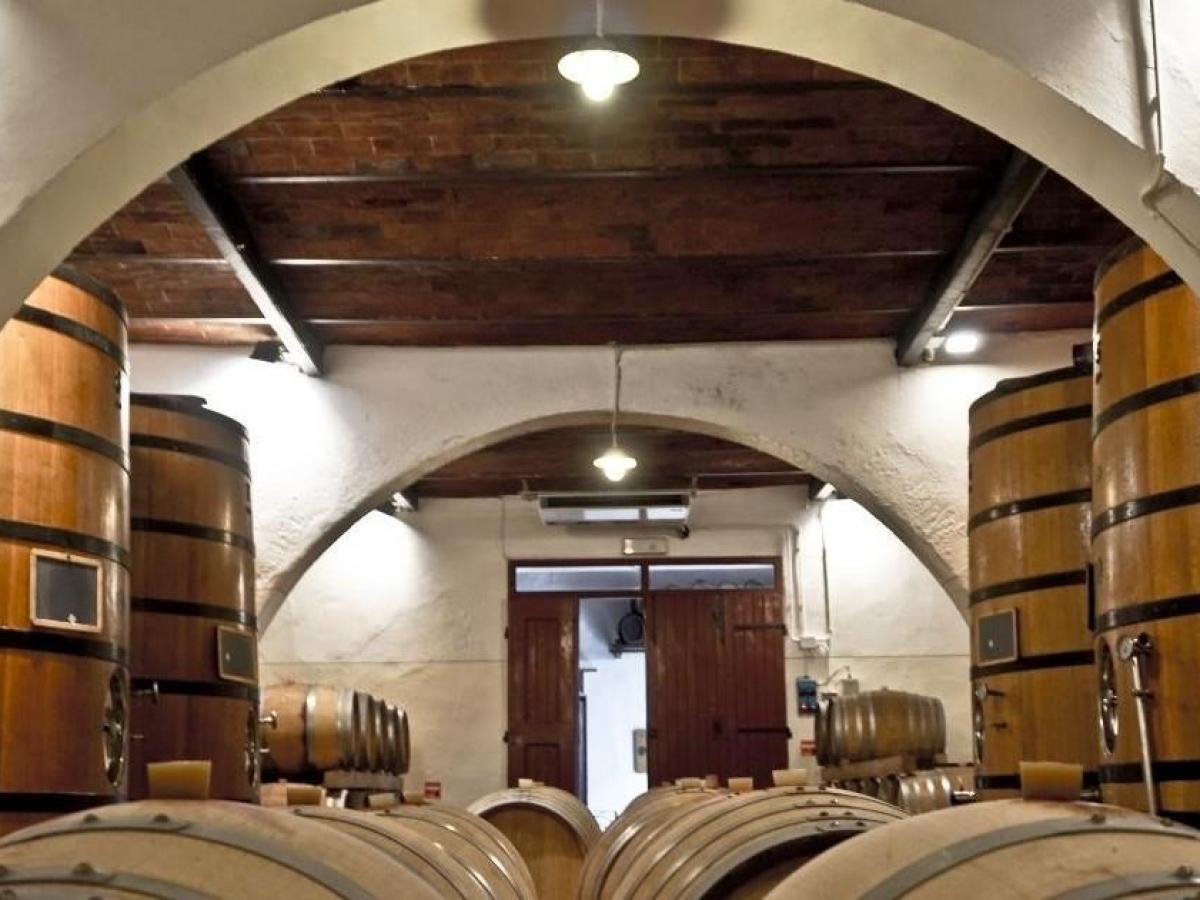 Chianti Forest Hike and Fiesole