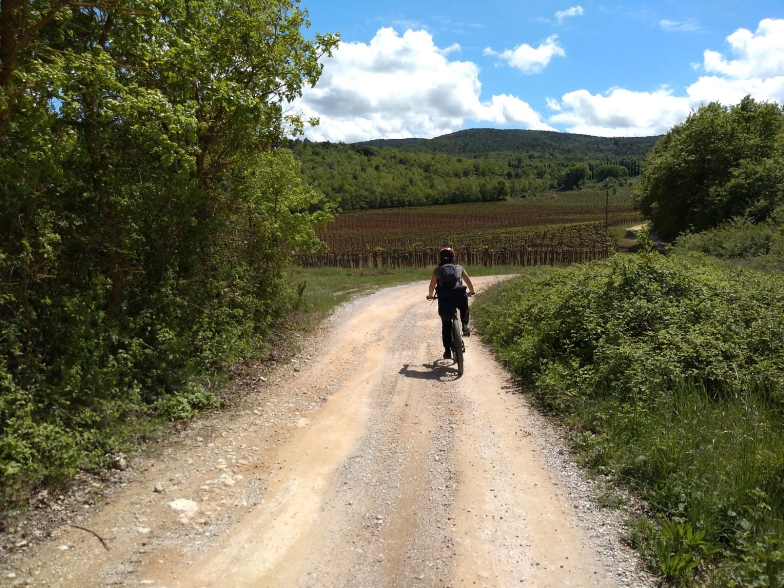 Person cycling on a dirt road through a vineyard under a blue sky with clouds.