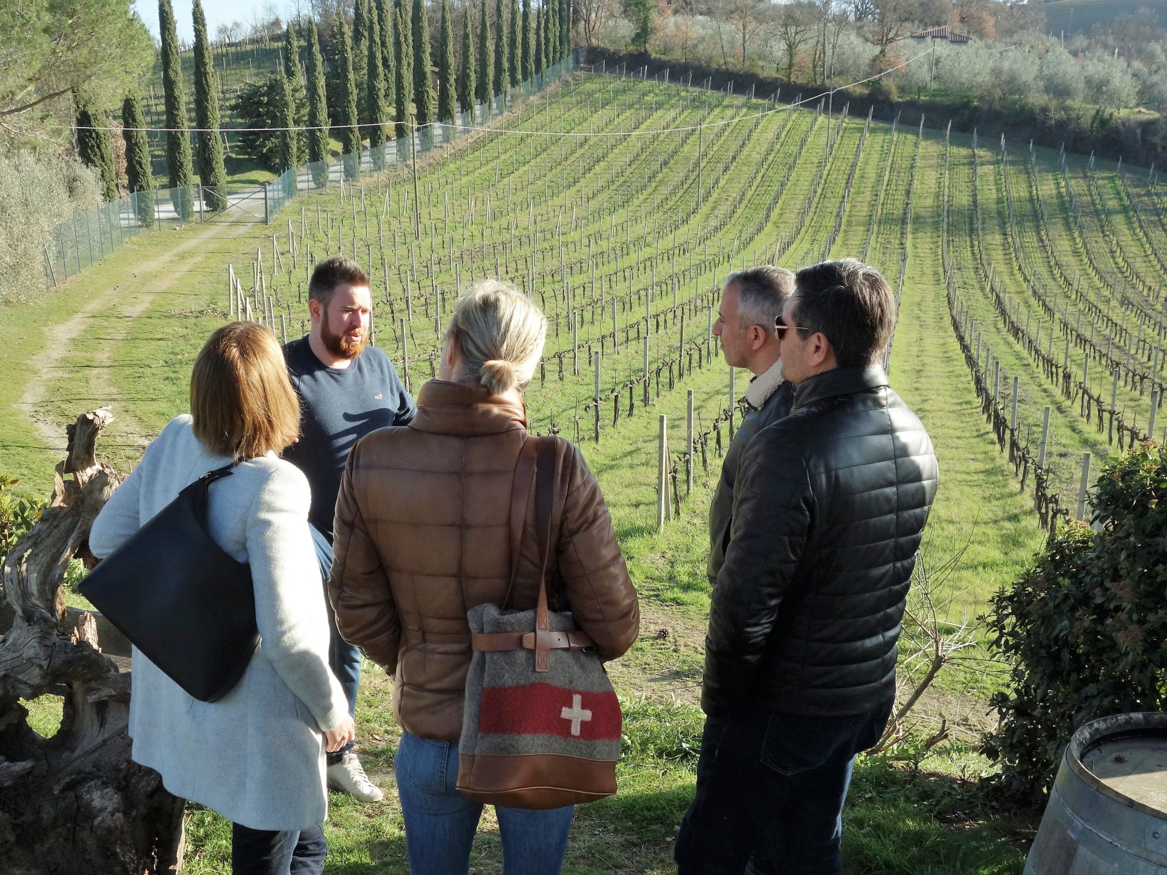 People at vineyard in San Gimignano tuscany