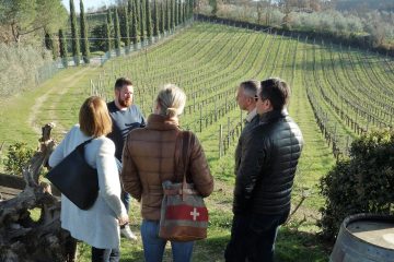 People at vineyard in San Gimignano tuscany