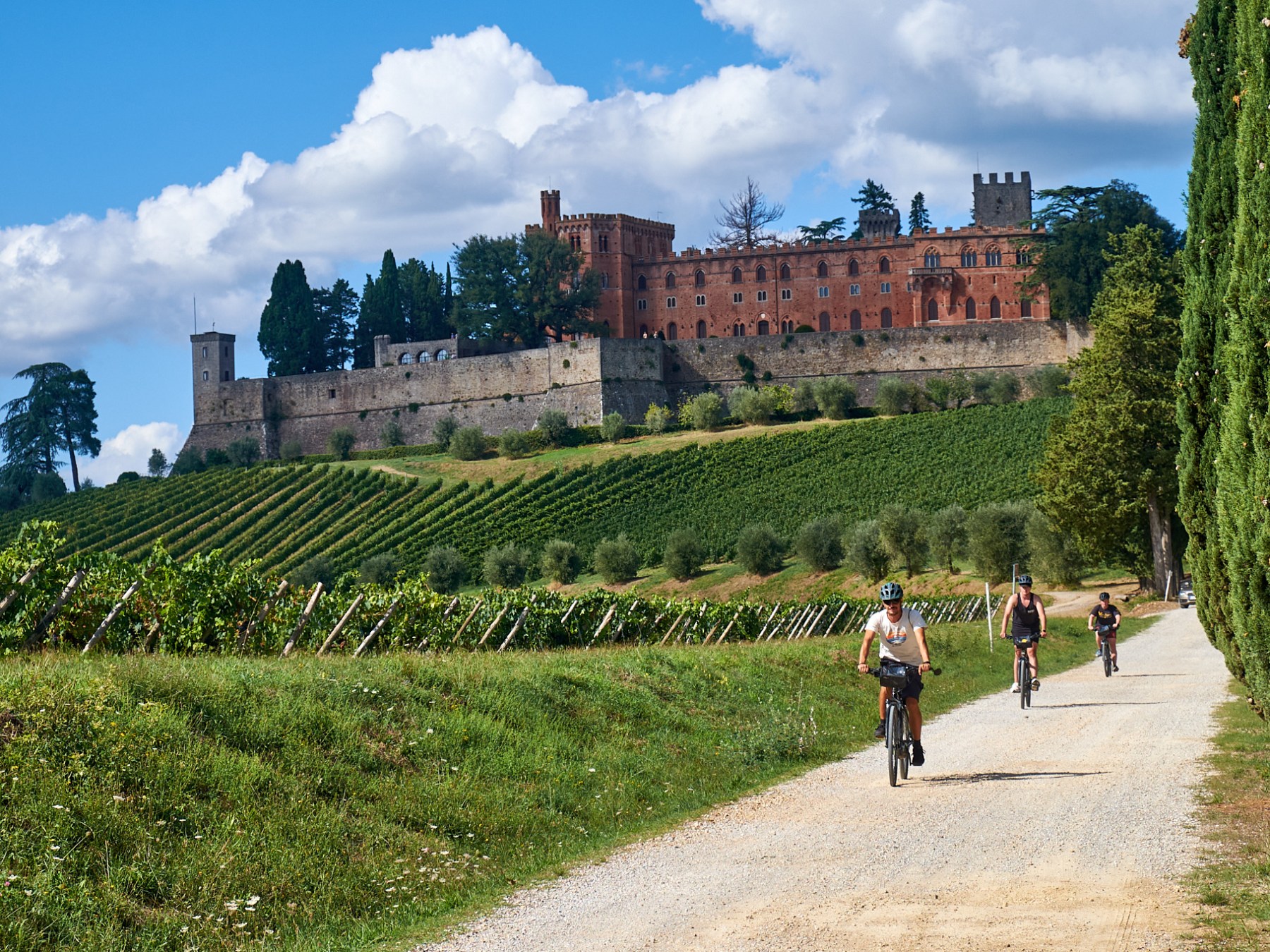 Three cyclists on a path with vineyard and castle in the background.