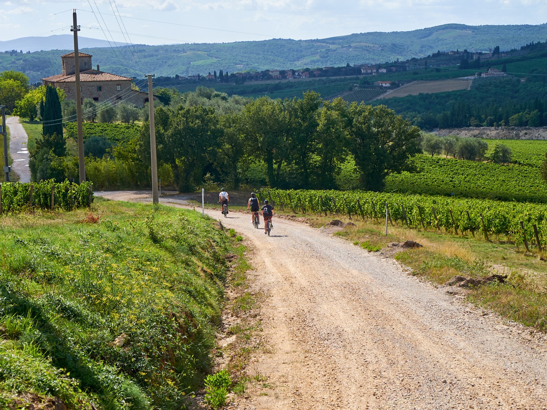 Cyclists on a dirt road surrounded by vineyards and hills.