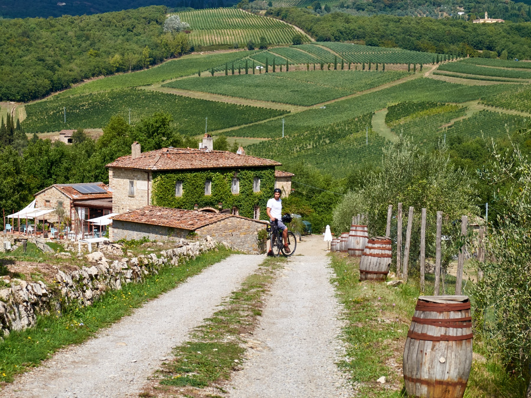 Cyclist on path by vineyard and stone farmhouse with hills in background.