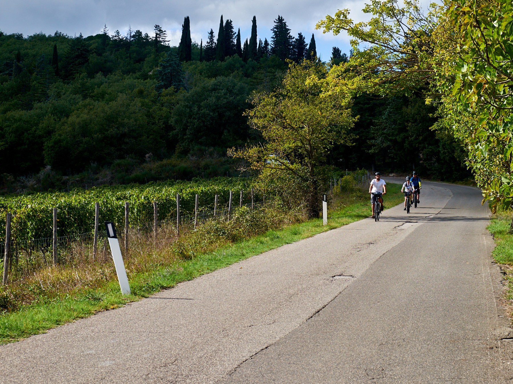 Three people cycling on a rural road surrounded by green trees and bushes.