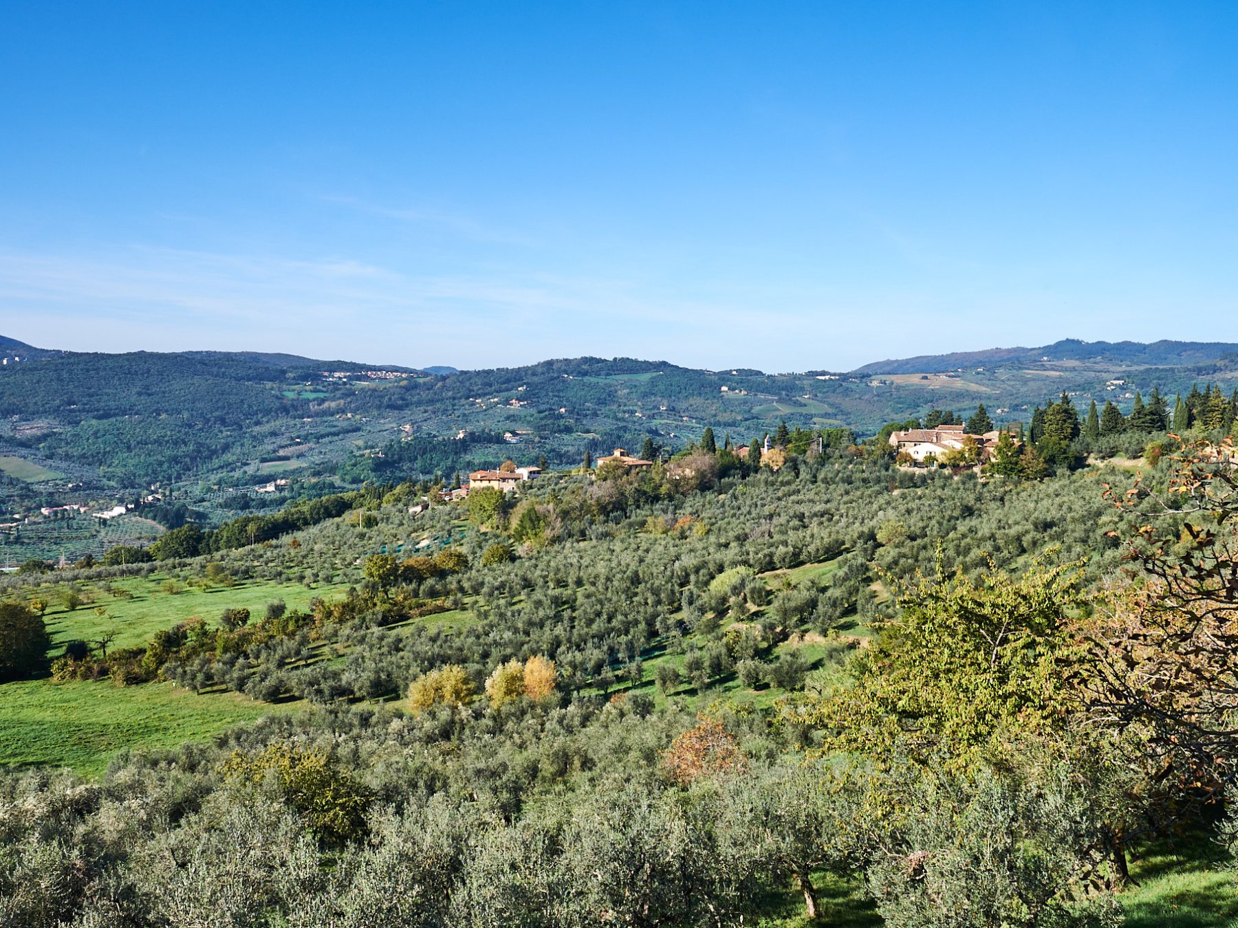 a large green field with trees in the background