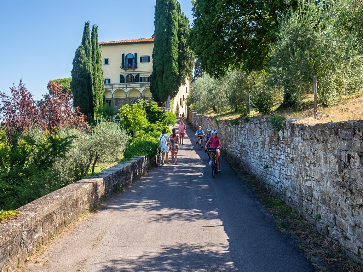 a path with trees on the side of a road