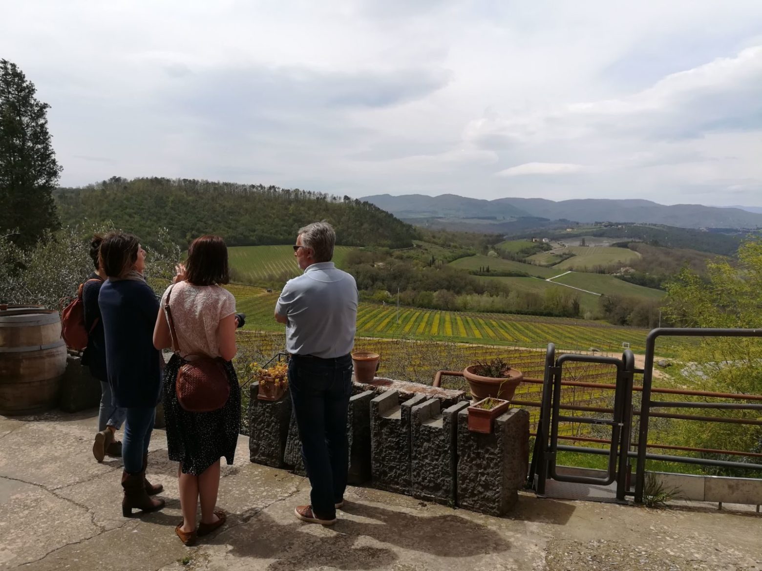 Vineyard in Chianti Tuscany