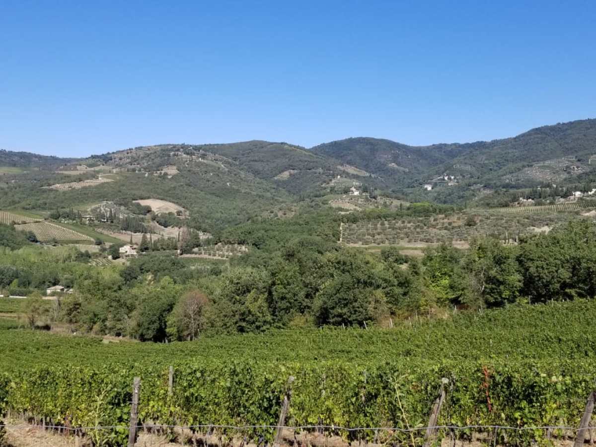 Chianti hills