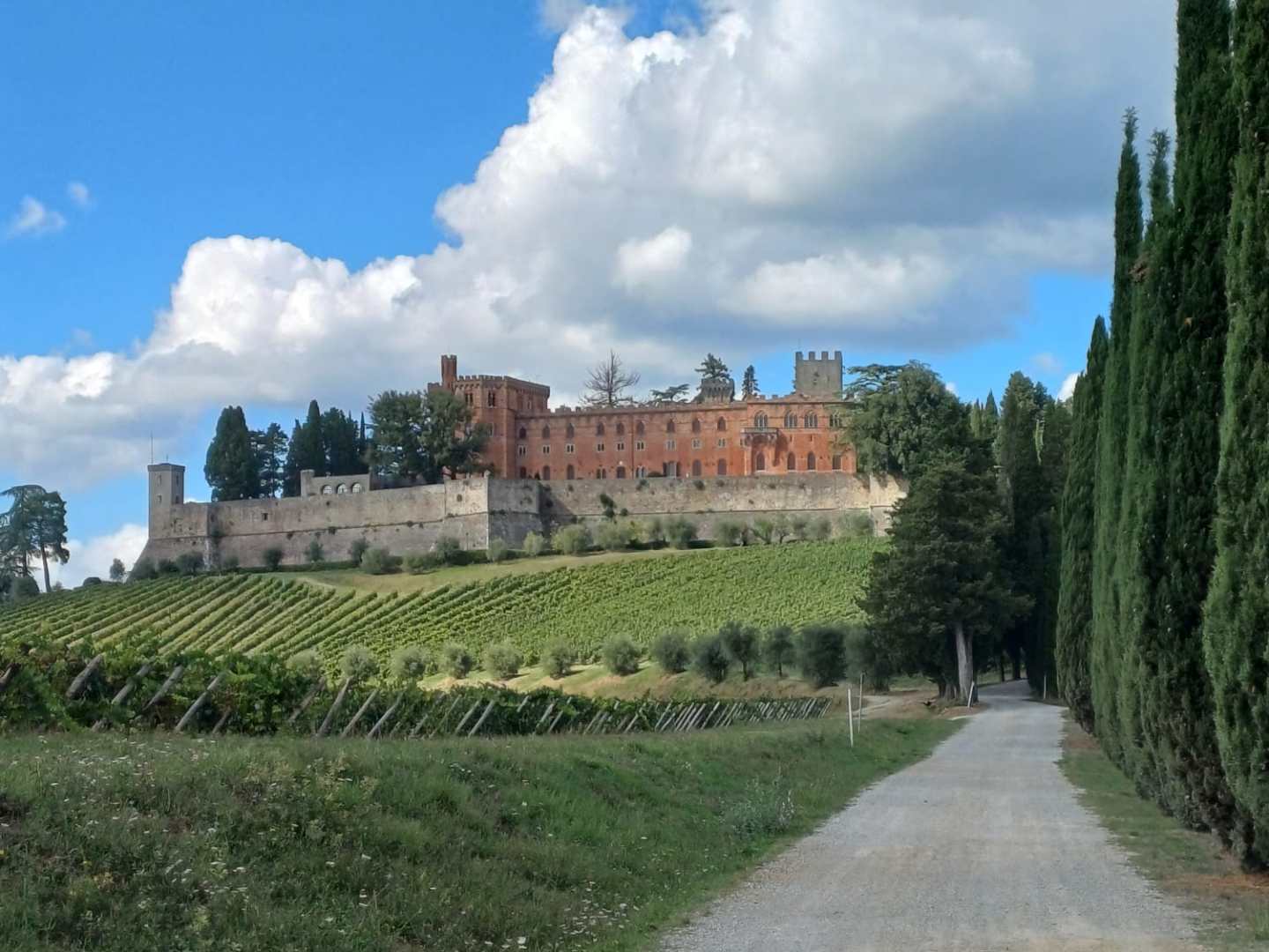 Pathway leading to a castle with vineyards and cypress trees under a blue sky with clouds.
