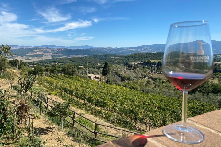 Wine glass with vineyard and rolling hills in the background under a blue sky.