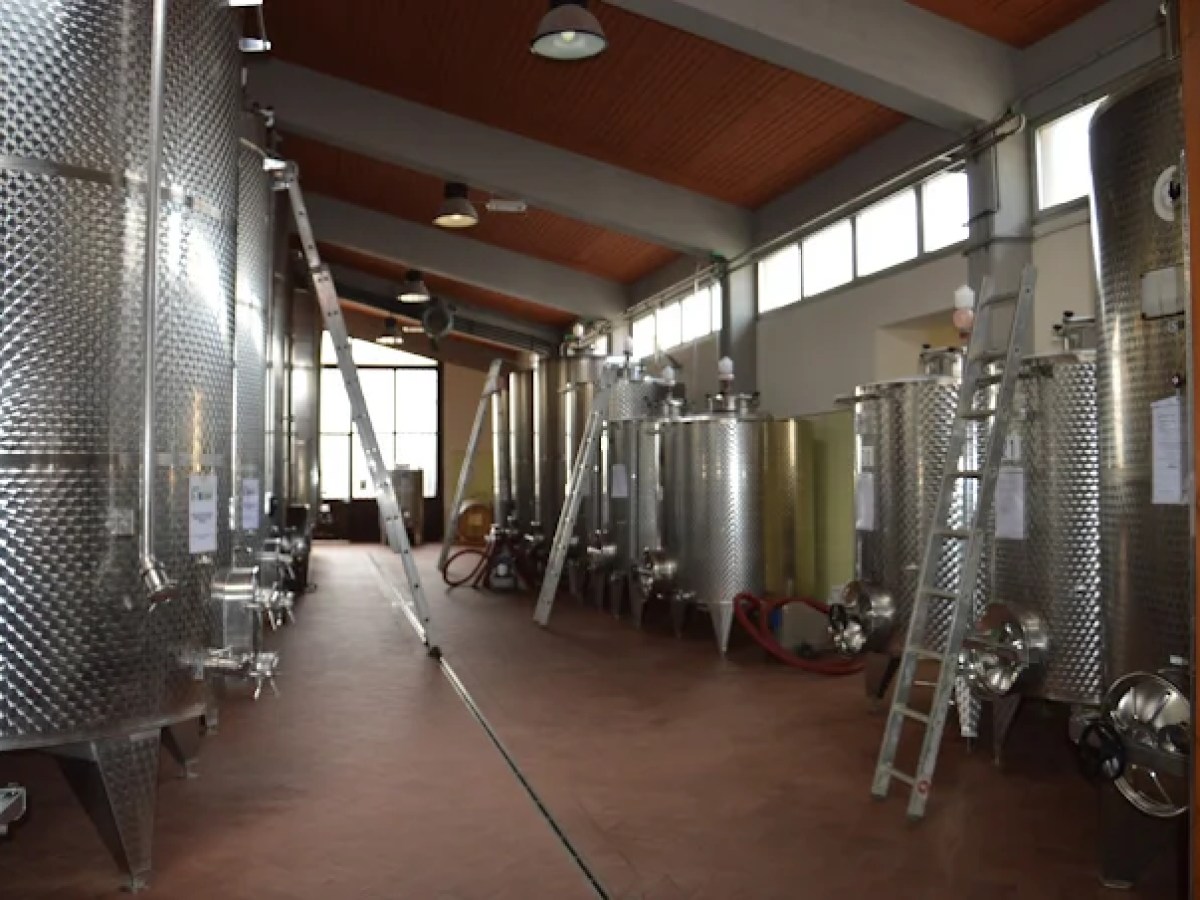 Stainless steel fermentation tanks in a winery cellar with ladders and hoses.