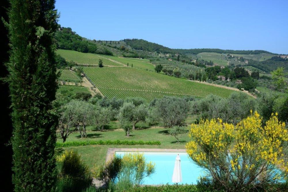 Vineyard landscape with pool, umbrella, trees, and vibrant foliage.