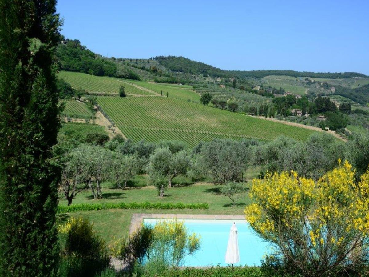 Vineyard landscape with pool, umbrella, trees, and vibrant foliage.