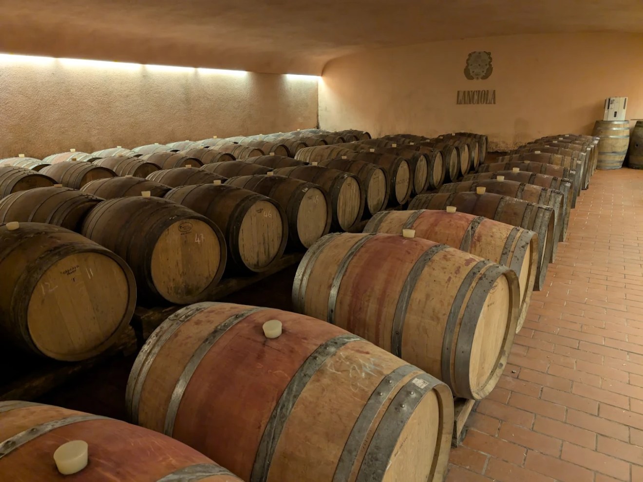Rows of wooden barrels in a wine cellar with brick flooring and soft lighting.