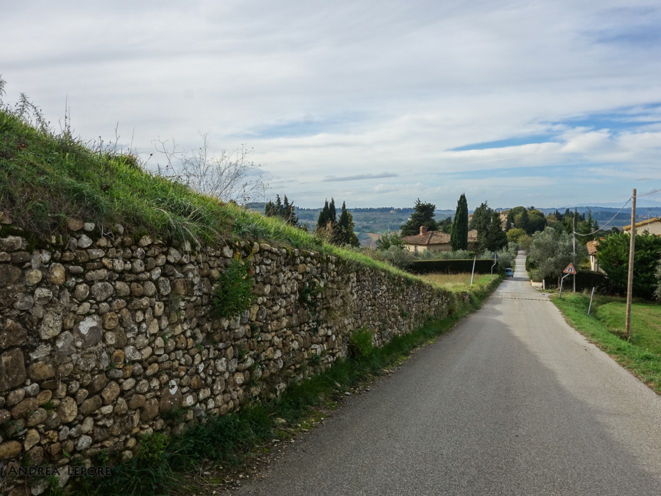 a path with trees on the side of a road in Chianti
