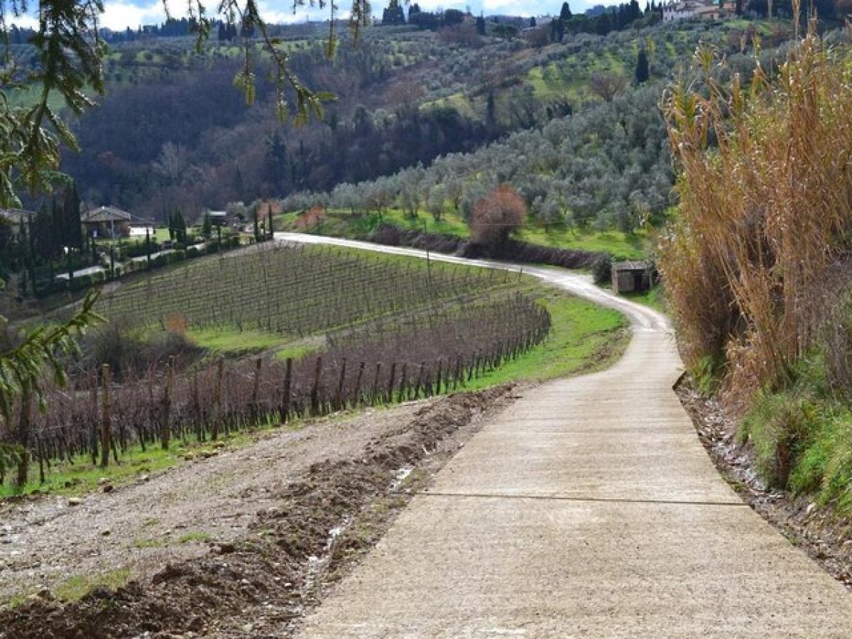 a train traveling down a dirt road