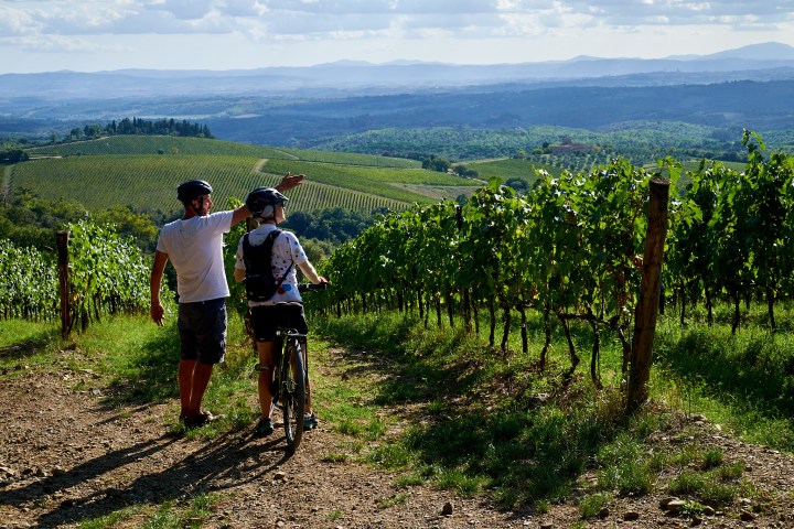 Two cyclists in a vineyard with a scenic view. One points out towards hills.