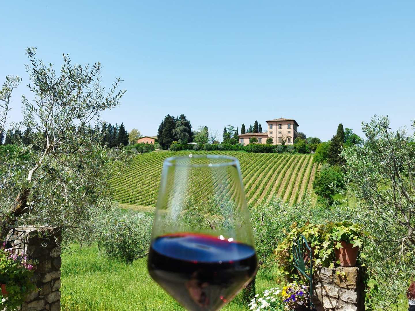 a vase of flowers sitting on top of a grass covered field