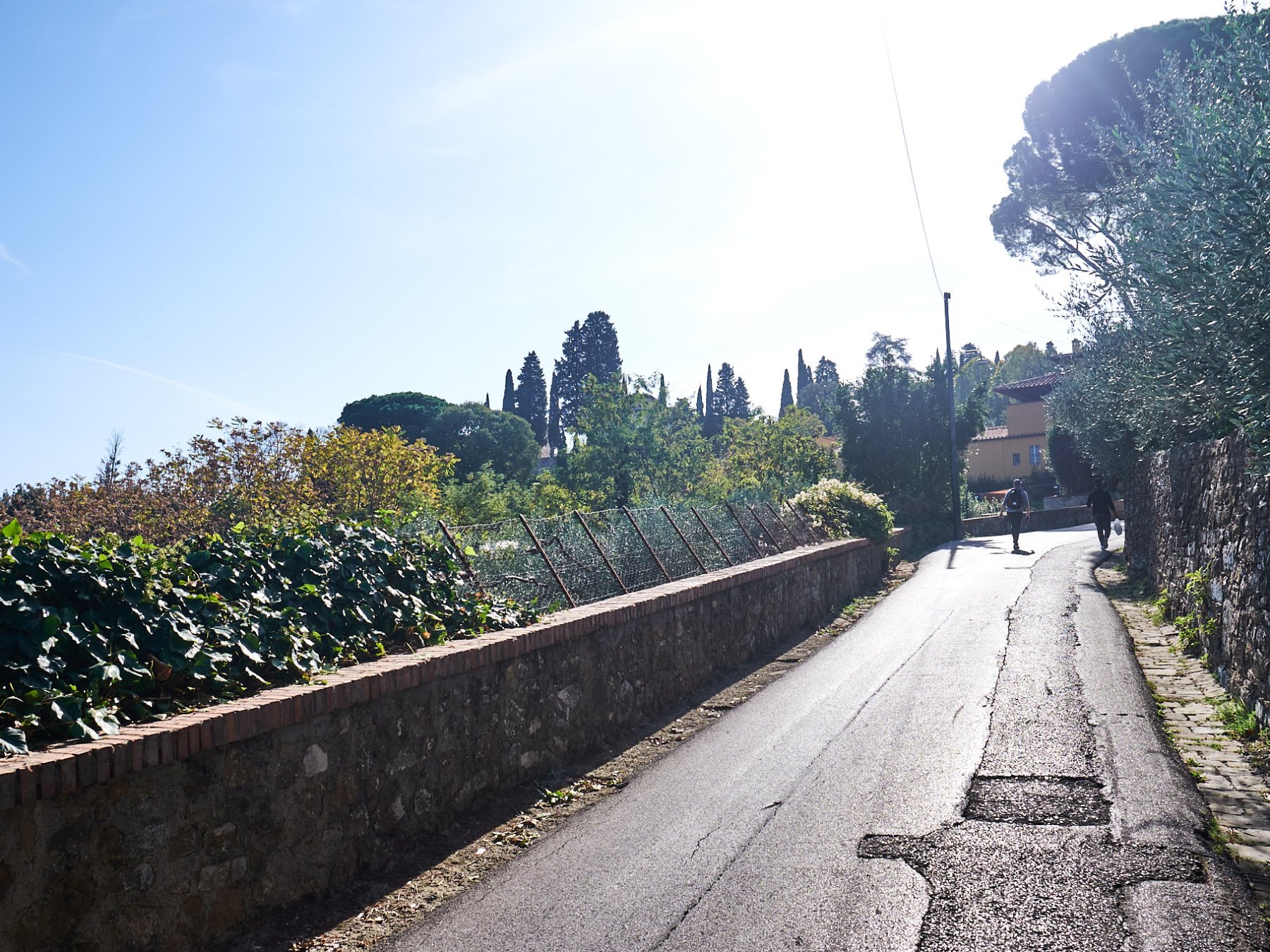 a path with trees on the side of a road
