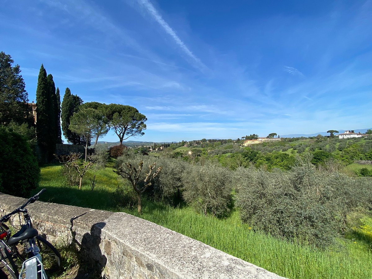a bicycle parked on the side of a hill