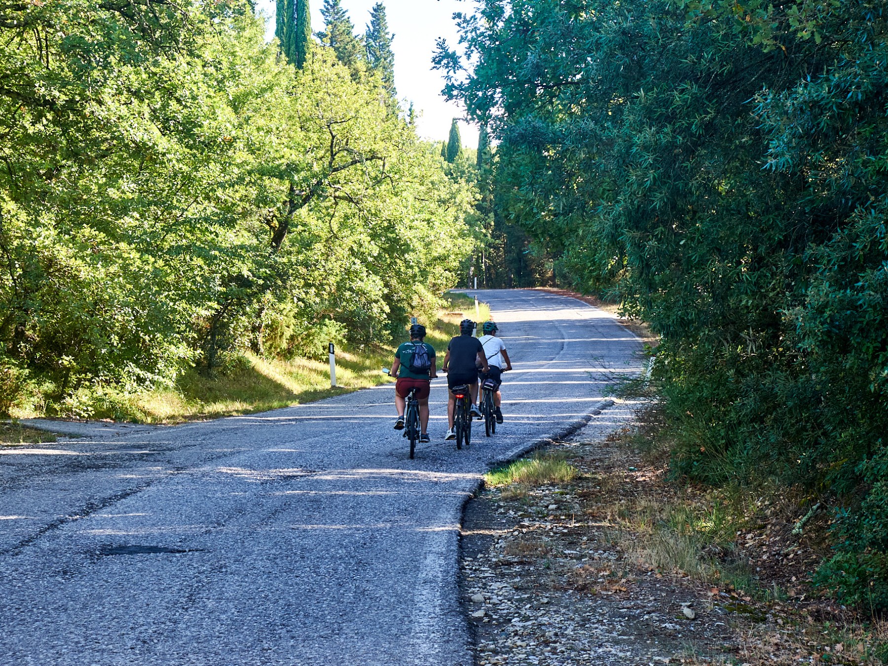 Three people cycling on a tree-lined rural road.