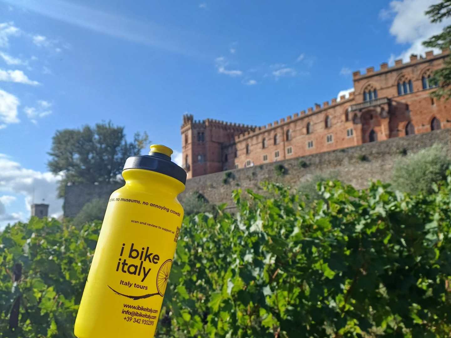 Yellow bottle on wooden post with castle in background under blue sky.