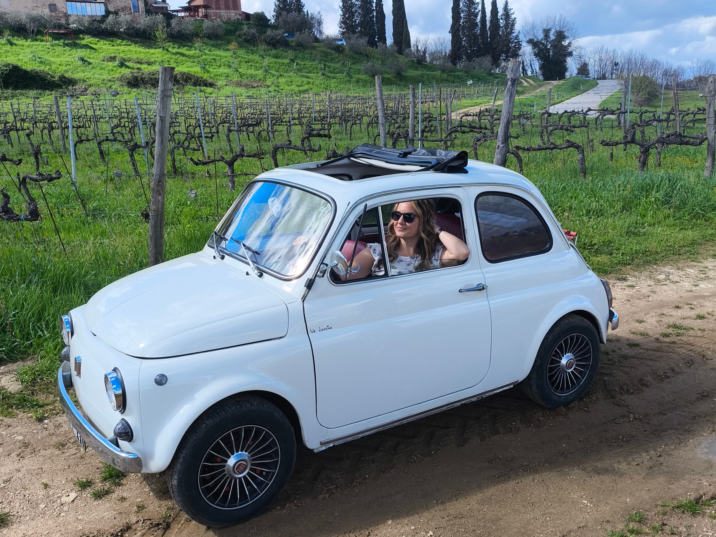 Woman driving a vintage white car through a vineyard landscape.
