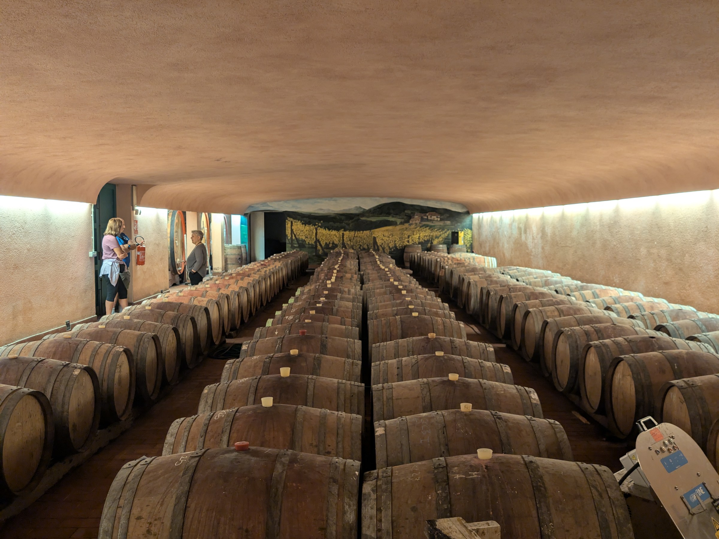 Rows of wooden barrels in a dimly lit wine cellar.